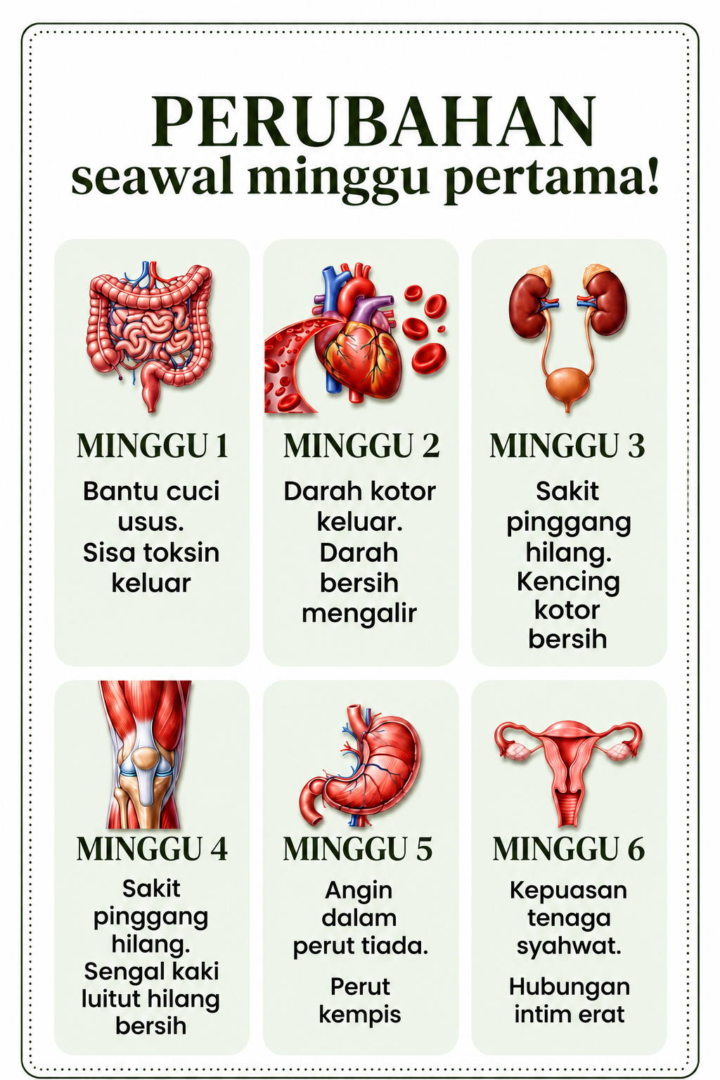 Teh Puleh